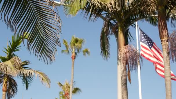 Palmen en Amerikaanse vlag, Los Angeles, Californië, USA. Zomer esthetiek van Santa Monica en Venice Beach. Sterrenspanner, sterren en strepen. Sfeer van patriottisme in Hollywood. Oude glorie — Stockvideo