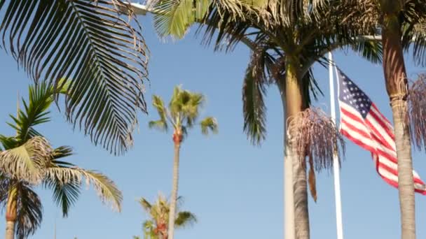 Palmiers et drapeau américain, Los Angeles, Californie États-Unis. Esthétique estivale de Santa Monica et Venice Beach. Bannière étoilée, étoiles et rayures. Atmosphère de patriotisme à Hollywood. Vieille gloire — Video