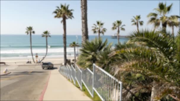 Дорога к океанскому пляжу Калифорния, США. Летние пальмы. Летнее побережье под Лос-Анджелесом. Морские волны. — стоковое видео