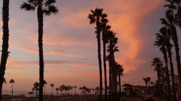 Palmas e céu crepúsculo na Califórnia EUA. Oceano tropical praia pôr-do-sol atmosfera. Vibrações de Los Angeles. — Vídeo de Stock