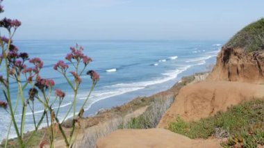 Seascape Vista Point, Del Mar Torrey Pines, Kaliforniya kıyısı ABD. Okyanus gelgiti, mavi deniz dalgası