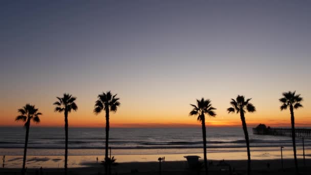 Palmas e céu crepúsculo na Califórnia EUA. Oceano tropical praia pôr-do-sol atmosfera. Vibrações de Los Angeles. — Vídeo de Stock