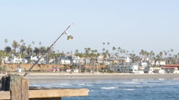 Pesca d'acqua salata sul molo, attrezzatura da pesca o attrezzi. California USA. Acqua, canna o filatura dell'oceano marino. — Video Stock