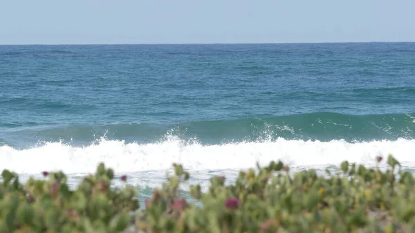 Valuri mari de maree albastre pe plajă, California, Statele Unite ale Americii. Coasta oceanului Pacific, verdeață pe malul mării . — Fotografie, imagine de stoc