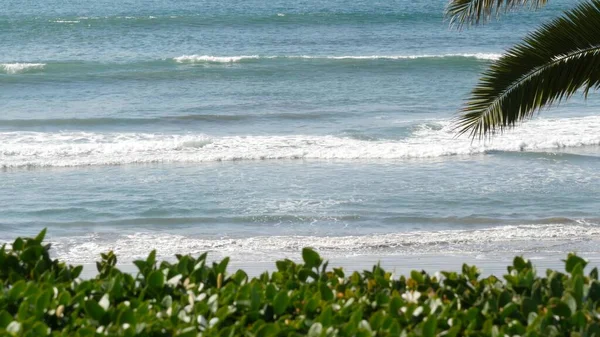Тихоокеанский прилив, Калифорнийский пляж США. Морские волны и пальмы в солнечный день. Летние каникулы. — стоковое фото
