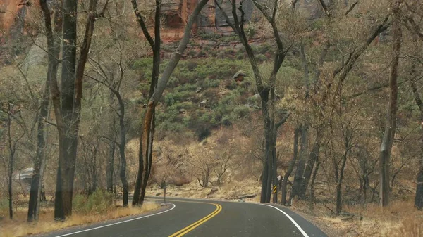 Viagem de carro, dirigindo automóvel em Zion Canyon, Utah, EUA. Carona viajando na América, viagem de outono. Falésias íngremes alienígenas vermelhas, chuva e árvores nuas. Tempo nebuloso e atmosfera de queda calma. Vista de carro — Fotografia de Stock