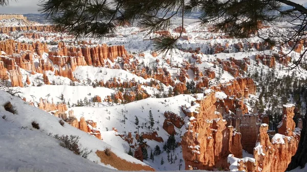 Bryce Canyon en invierno, nieve en Utah, EE.UU. Hoodoos en anfiteatro, relieve erosionado, mirador panorámico. Formación naranja única. Arenisca roja, pino conífero o abeto. Ecoturismo en América — Foto de Stock