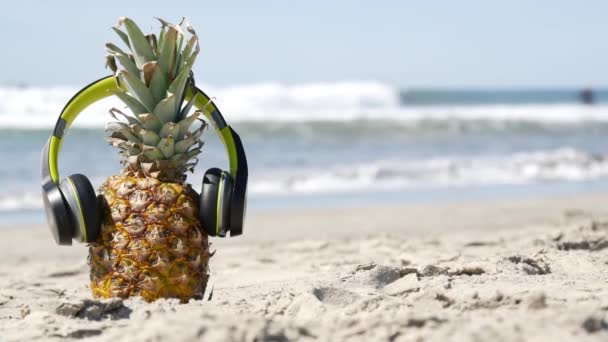 Ananász fülhallgatóban, homokos tengerpart. Trópusi nyári egzotikus gyümölcs. Ananák a parton. — Stock videók
