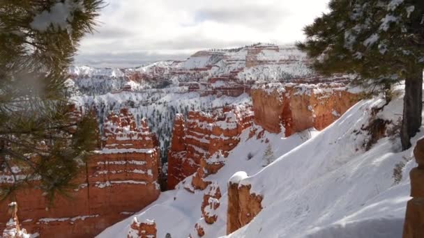 Bryce Canyon på vintern, snö i Utah, USA. Hoodoos i amfiteater, eroderad relief, panoramautsikt. Unik orange formation. Röd sandsten, barrfuru eller gran. Ekoturism i Amerika — Stockvideo