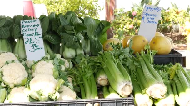 Verduras ecológicas en mostrador, productos locales frescos cultivados en el establo. Mercado de alimentos para agricultores en Estados Unidos. — Vídeos de Stock