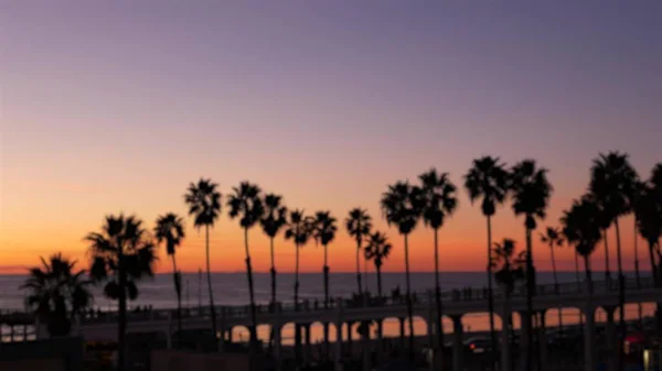 Defokted Palms, Twilight Sky, Kalifornia Egyesült Államok. Trópusi tengerparti naplemente hangulat. Los Angeles-i rezgések. — Stock Fotó