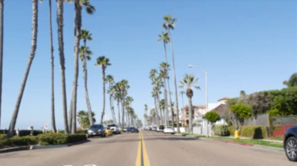 Kaliforniya 'da palmiye ağaçları ve tropikal okyanus plajı olan bir yol. Los Angeles Hollywood estetiği. — Stok fotoğraf