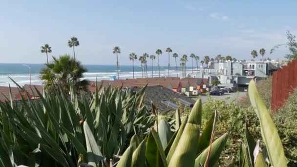 Chaty v Oceanside California USA. Bungalovy u pláže. Palmy na pláži. Letní přímořská. — Stock video