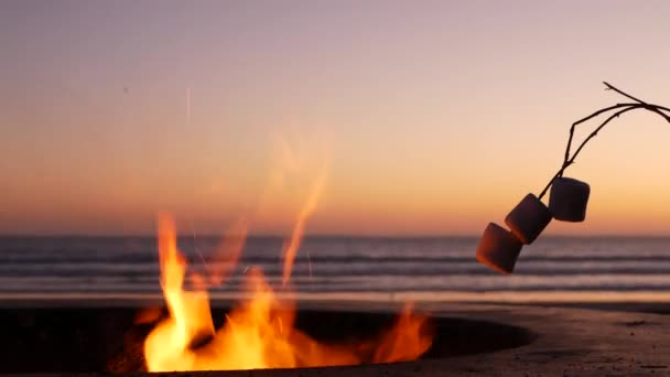 Parque de campismo na Califórnia EUA. Fogo de acampamento na praia do mar oceano, assar marshmallow torrada na fogueira. — Vídeo de Stock