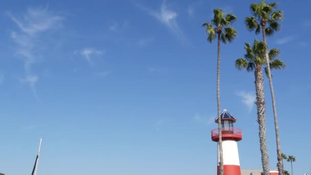 Farol, palmeiras e céu azul. Farol vermelho e branco. Vila do porto à beira-mar. Califórnia EUA — Vídeo de Stock