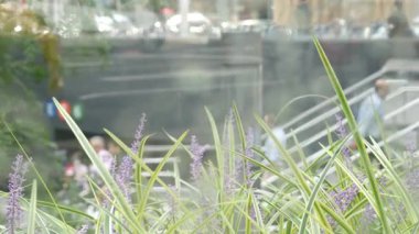 New York, ABD - 11 Eylül 2023 Manhattan Lexington Bulvarı, ABD. Odaklanamayan insanlar, yeraltı metro istasyonu, 53 caddedeki merdivenler, şehir merkezi. Yeşiller.