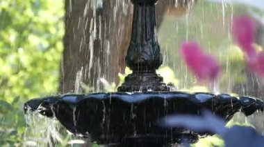 New York Manhattan şehir merkezi Madison Square Park, Amerika Birleşik Devletleri. Çeşme suyunda yıkanan kuşlar. 5. cadde ve Broadway köşesinde yaz yeşilliği, Flatiron bölge yaşamı..