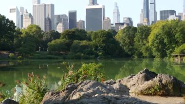 Central Park, ABD 'den New York City gökyüzü manzarası. Midtown gökdelen kuleleri, yazın mimari ve göl inşaatı. New York Park, ABD 'de gölet suyu ve yeşillik. Onun kafasının bakış açısı.