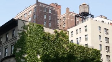 New York City şehir mimarisi, Manhattan çatısı, Amerika Birleşik Devletleri. Çatıdaki su kulesi. Klasik su tankı. Duvarda sarmaşık yeşilliği. Sarmaşık tırmanışçısı, yeşil yapraklar.