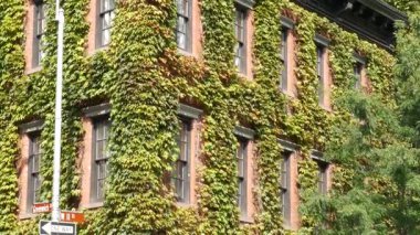 New York City şehir binaları mimarisi, Aşağı Manhattan West Village Greenwich caddesi köşesi, Amerika Birleşik Devletleri. Greenwich Köyü, ABD. Kırmızı tuğlalı ev. Duvarda asma yeşili.