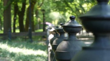 New York 'un Central Park' ındaki ahşap banklar. New York, Manhattan, ABD 'de yaz gününde insanlar. Odaklanamayan perspektif, Amerikan parkındaki eski yeşil ağaçlar. Yapraklar gün ışığında.