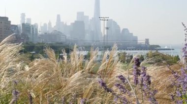 New York City şehir merkezi silueti ve Amerika Birleşik Devletleri 'nin Manhattan şehir merkezindeki Little Island rıhtım parkı. Finans bölgesi şehir merkezi, dünya ticaret merkezi ve Chelsea, ABD 'deki sütunlarda bulunan şehir bahçesi vahası..