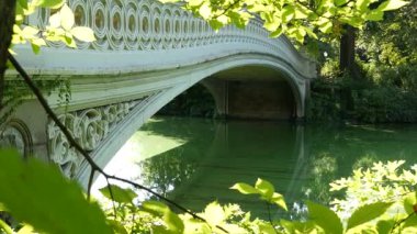 New York Şehri Central Park doğa vahası. Bow Köprüsü ve göl yaz günü, Birleşik Devletler. Sabah ışığında gölet suyu ve yeşillik. Sonbahar yaprakları ve New York, ABD 'nin Manhattan mimarisi..