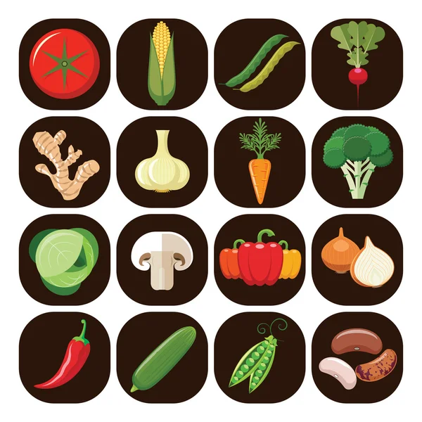 Conjunto de diferentes tipos de verduras . — Vector de stock