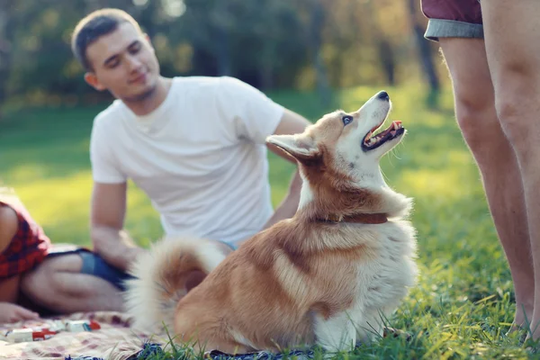 Rodinný piknik se psem — Stock fotografie