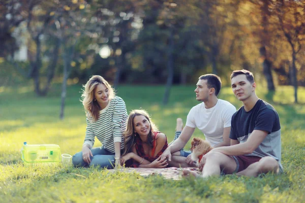 Family picnic with a dog — Stock Photo, Image