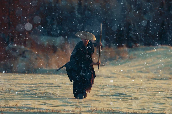 Samurai en el campo de invierno — Foto de Stock