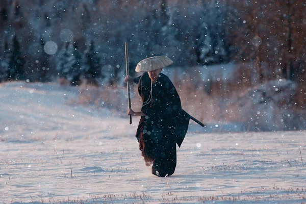 Samurai en el campo de invierno — Foto de Stock