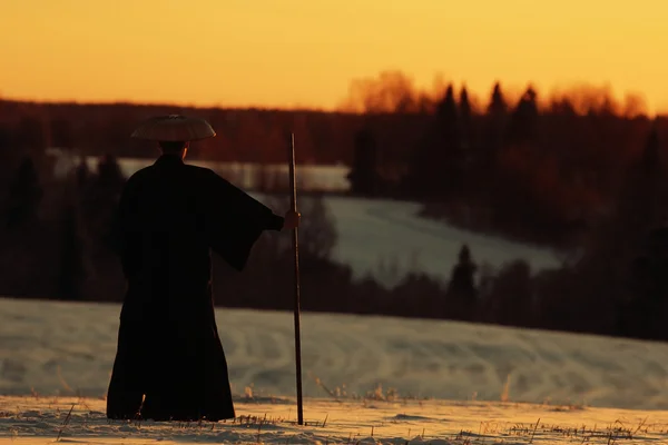 Samouraï dans le champ d'hiver — Photo