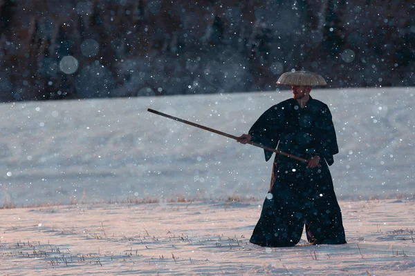 Samouraï dans le champ d'hiver — Photo