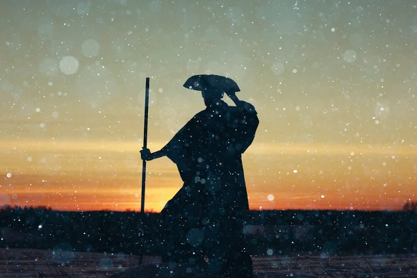 Samurai en el campo de invierno — Foto de Stock