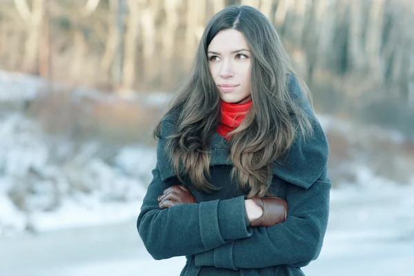 Brunette meisje in het besneeuwde forest — Stockfoto