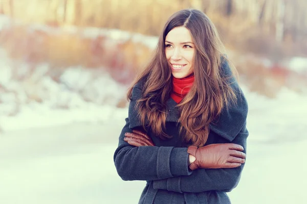 Brunetka dziewczynka w snowy lasu — Zdjęcie stockowe