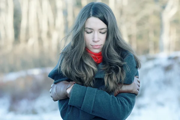 雪に覆われた森林のブルネットの少女 — ストック写真