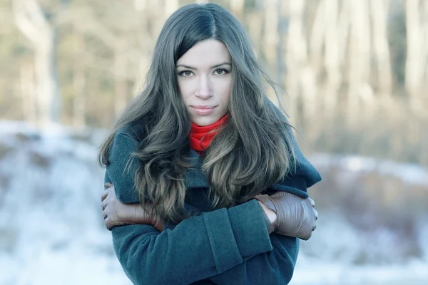 Chica morena en el bosque nevado —  Fotos de Stock