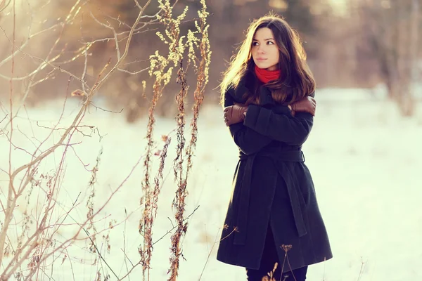 Menina morena na floresta nevada — Fotografia de Stock