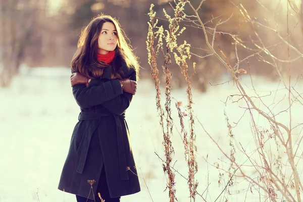 Mladá dívka s dlouhými tmavými vlasy — Stock fotografie