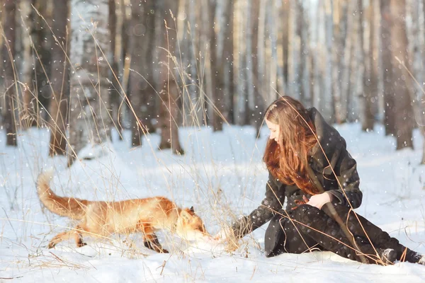Όμορφη νεαρή κοπέλα και η αλεπού — Φωτογραφία Αρχείου