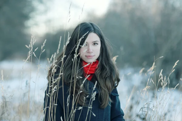 Chica morena en el bosque nevado —  Fotos de Stock