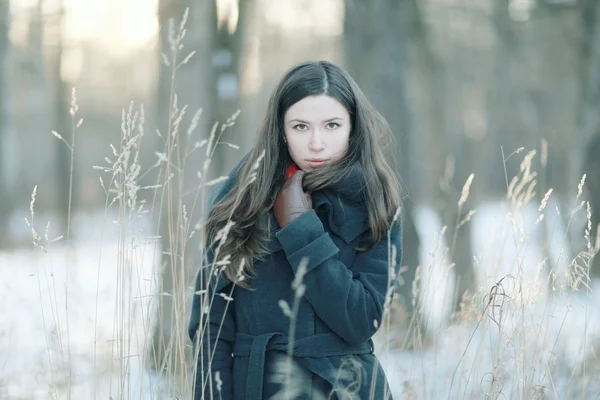 Brunette girl in snowy forest — Stock Photo, Image
