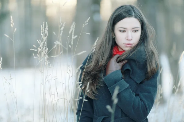 Brunett tjej i snöiga skogen — Stockfoto
