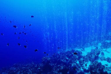 deniz suyunun dokusu