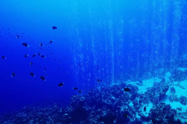 海の水の質感 — ストック写真