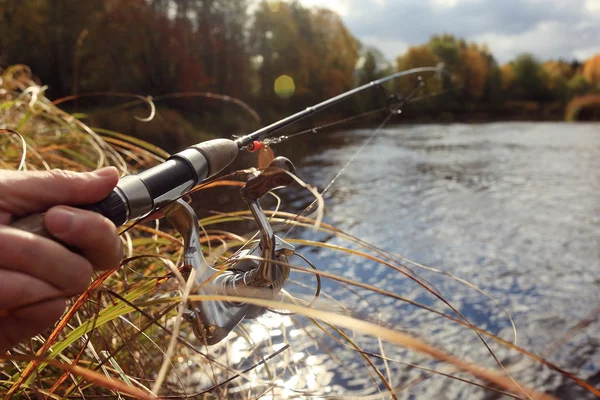 Sked-bete i mänsklig hand — Stockfoto