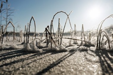 soğuk kış günü açık