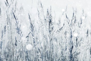 Soğuk kışın karlı Köyü